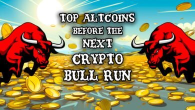 Best Alternative Coins to Invest in for the Next Bull Run