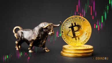 Why Dumb Money May Cause Bitcoin Price Correction