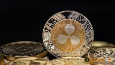 XRP Will Rally 1700% If It Closes Here