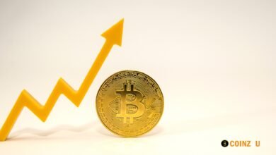 Bitcoin Rise After CPI, Lisa Cook Expects Soft Fed Rate Cuts?