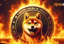 Burns 4800% After 8% Drop, SHIB Price May Rise