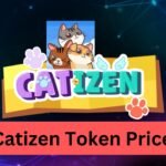 Catizen Token Price