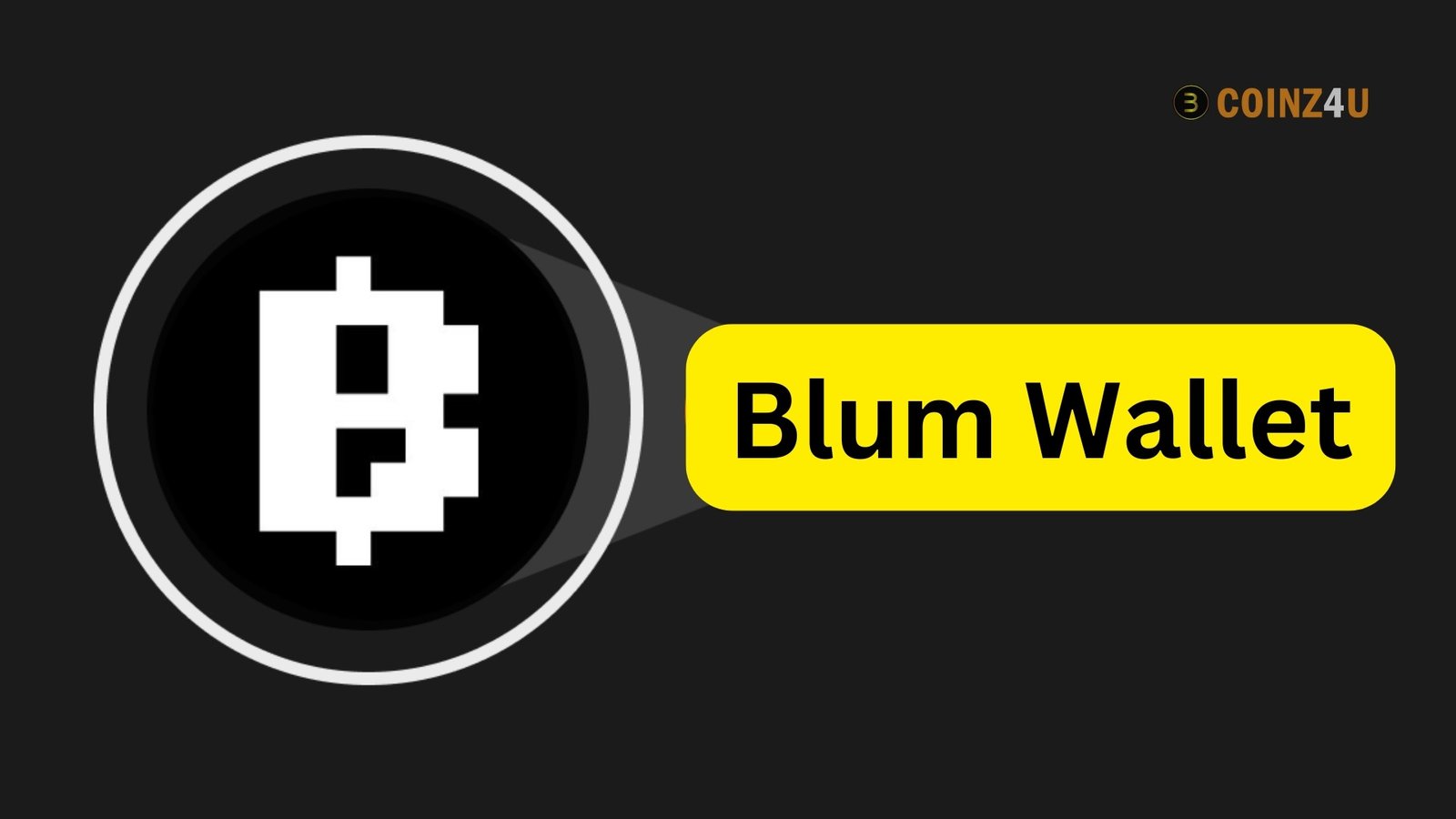 Blum Wallet