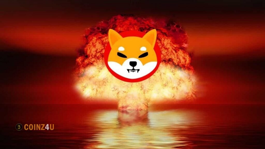 Shiba Inu Coin Burn
