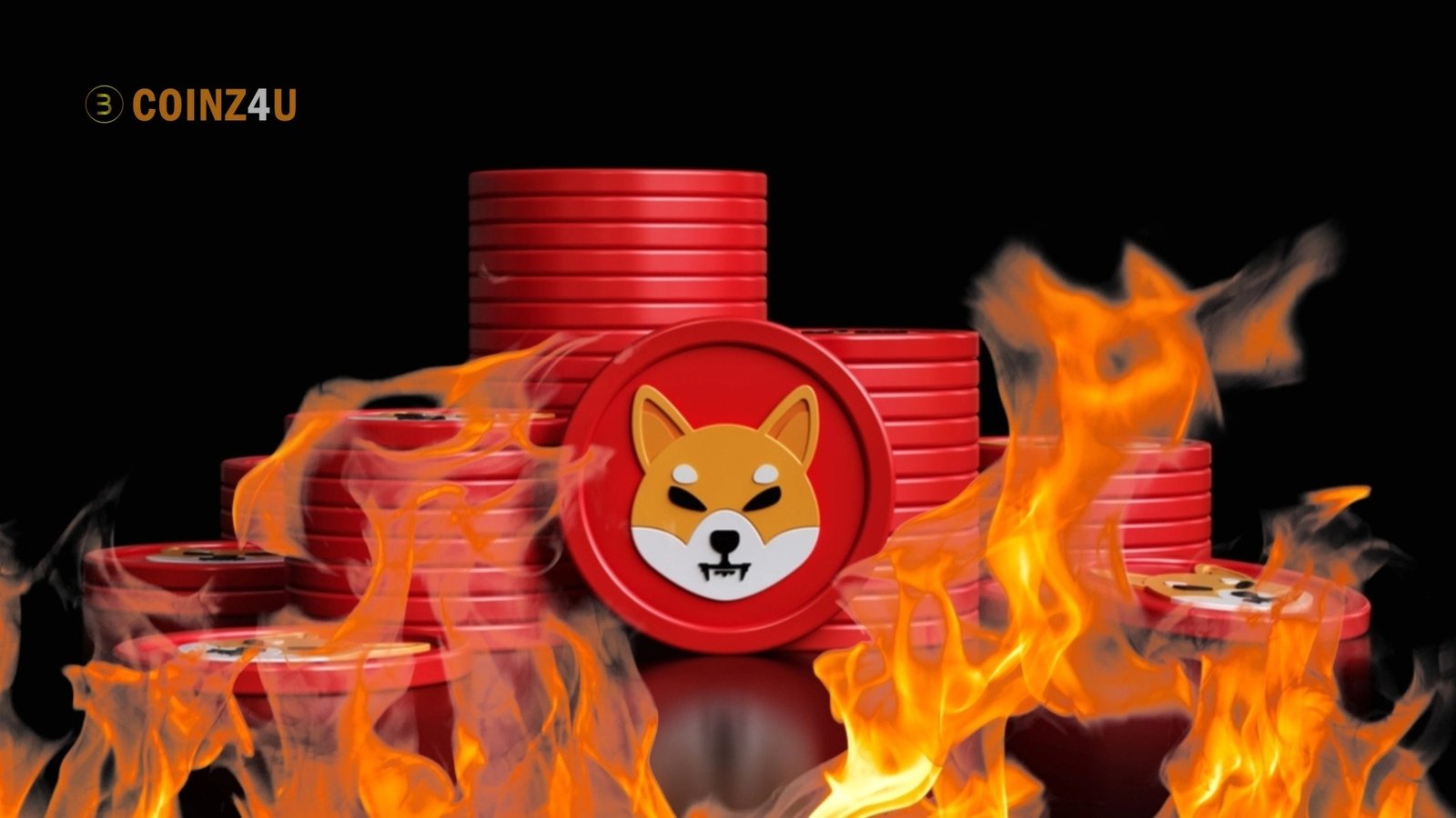 Why Shiba Inu Coin Burn?