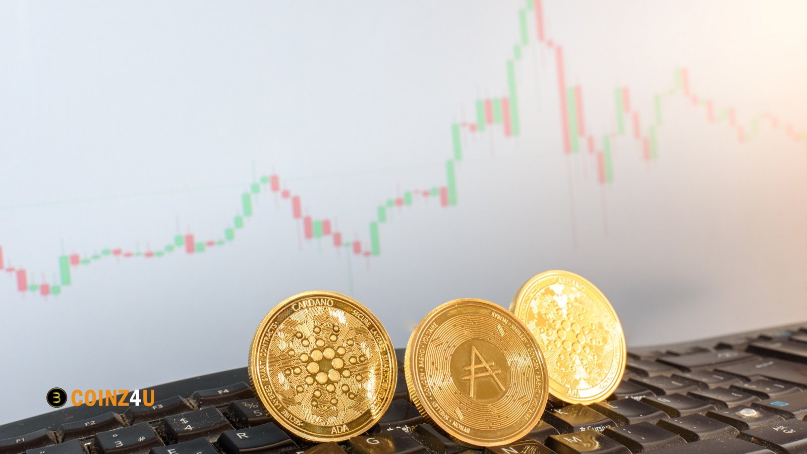 Investor Insights on Cardano (ADA)