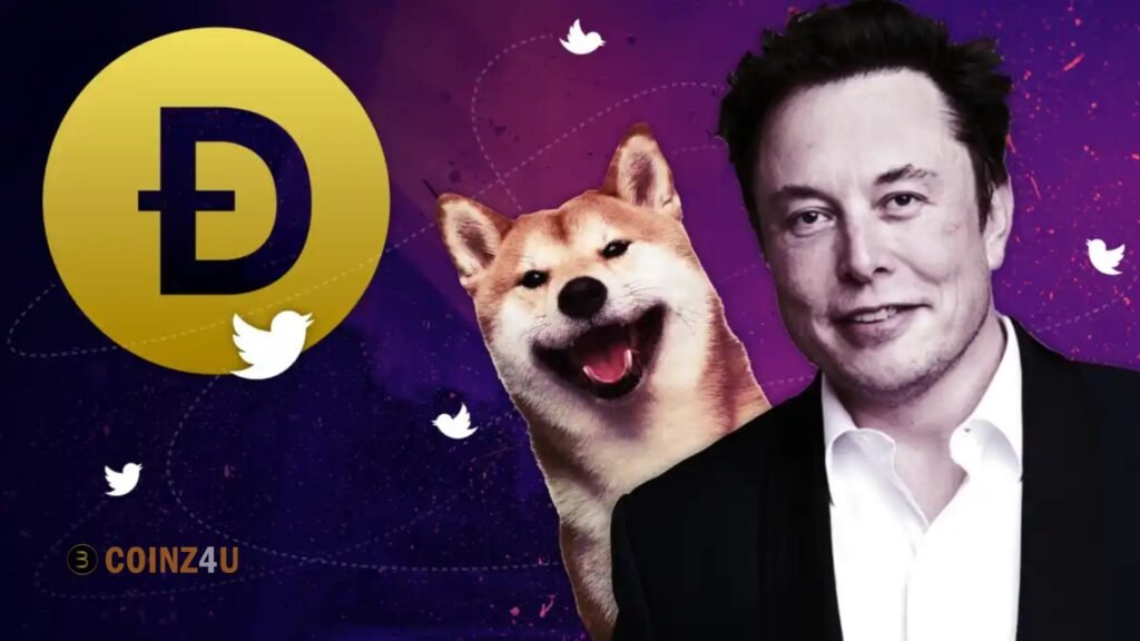 Dogecoin Investors Drop Musk