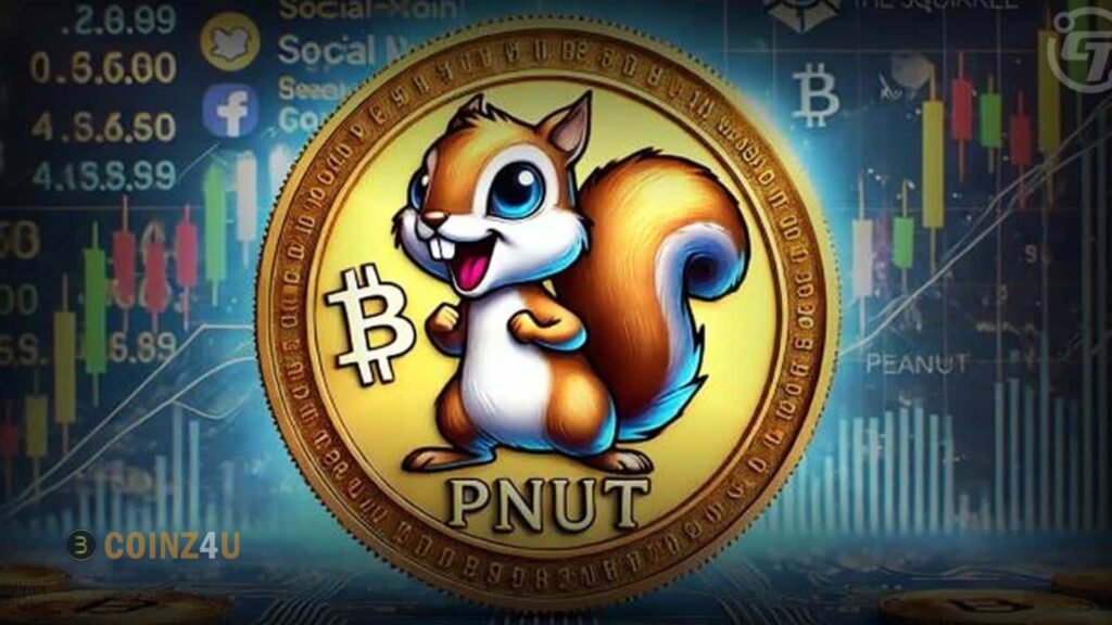 PNUT Coin Rockets