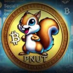 PNUT Coin Rockets