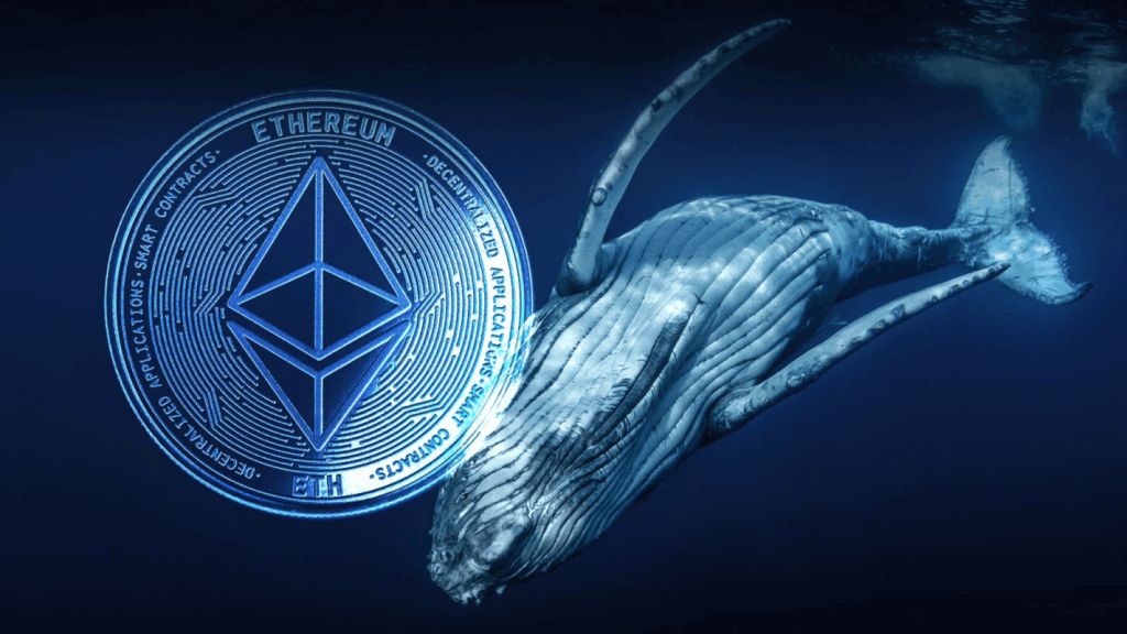Ethereum's Bullish Surge Whale