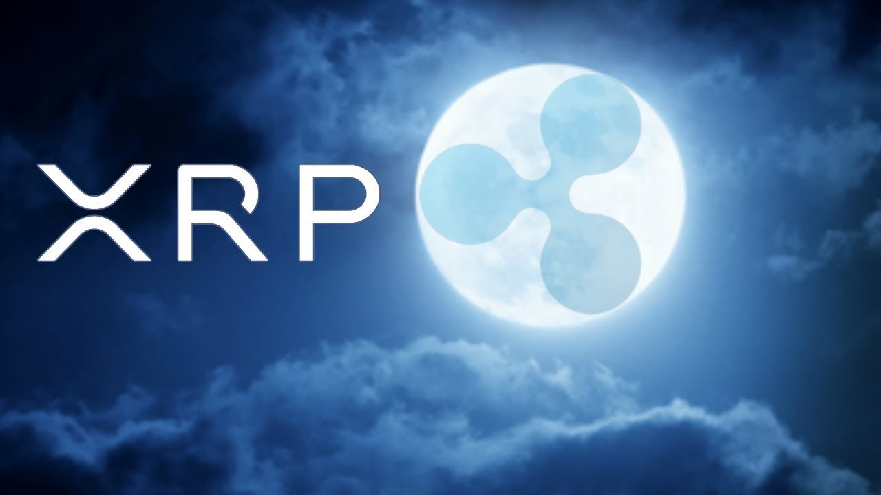 XRP's Bright Future