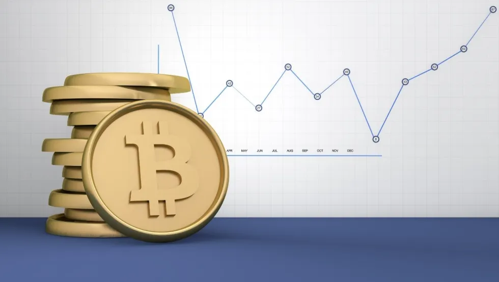 Bitcoin's Price Movement