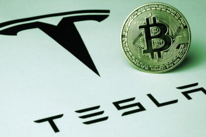 Tesla Bitcoin Holdings Increase