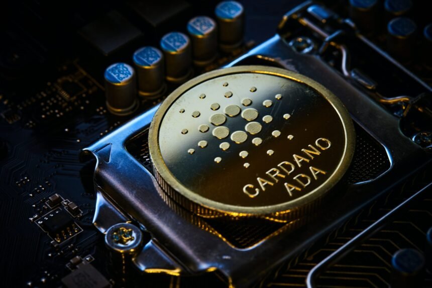 Cardano price surge