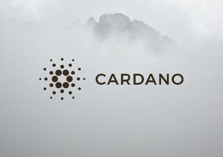 Cardano price breakdown