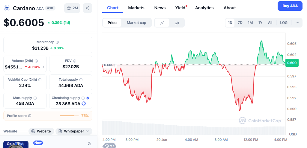 Current Market Position