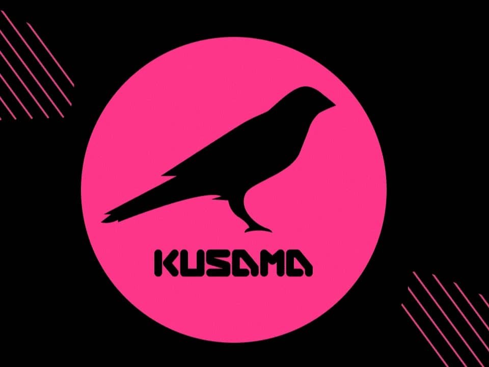 How Kusama Parachain Auctions Work