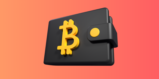 Choosing Wallets with Superior Security Features